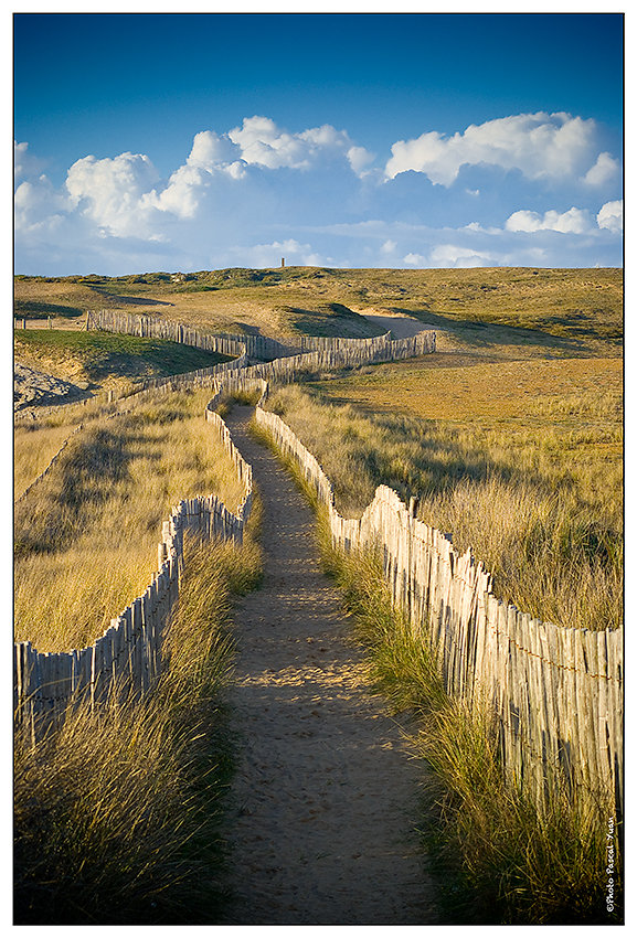 Sur le chemin de la plage ...