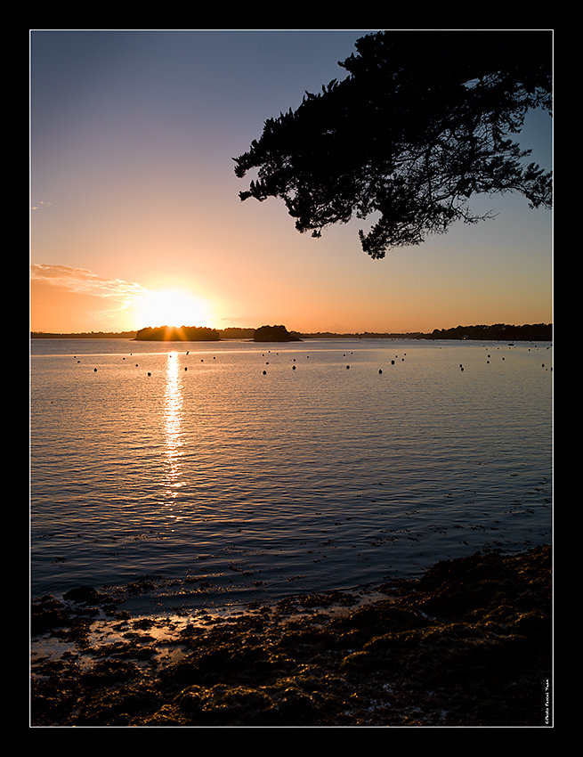 Sur-les-bords-du-golfe-pascal-yuan.jpg